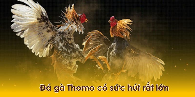 Những ưu điểm chinh phục kê sư của hình thức giải trí thú vị