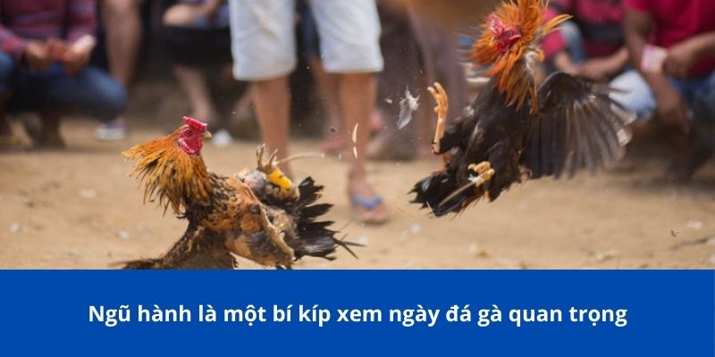 Chọn ngày phù hợp dựa trên 12 con giáp