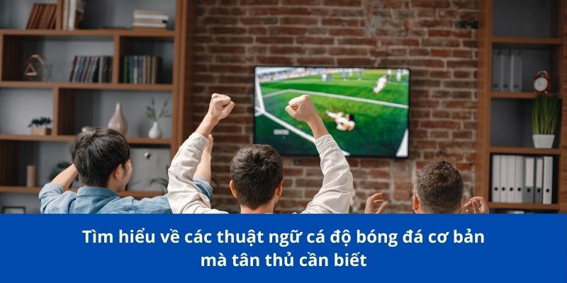 Tìm hiểu về các thuật ngữ cá độ bóng đá cơ bản mà tân thủ cần biết