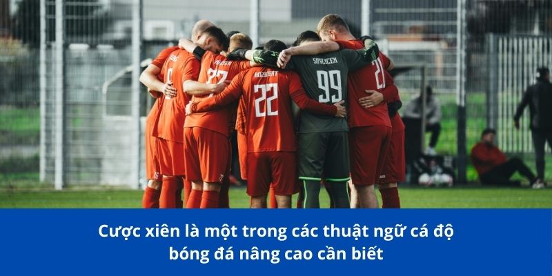 Cược xiên là một trong các thuật ngữ cá độ bóng đá nâng cao cần biết