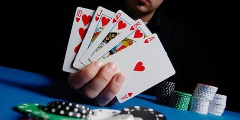 Sơ lược về Tiến Lên Miền Bắc