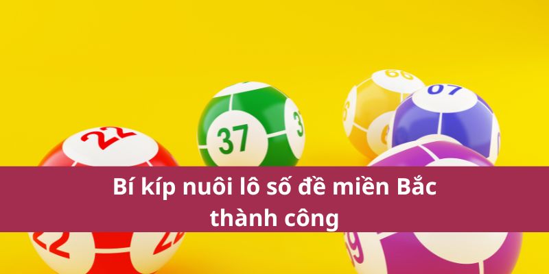 Bí kíp nuôi lô số đề miền Bắc thành công